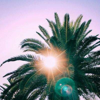 AG官方平台下载地址下载手机版截图