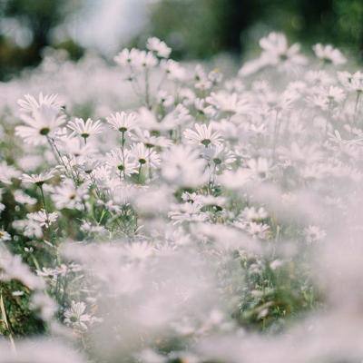 AG官方平台下载地址下载手机版